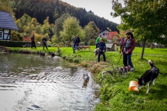 Husky Dorfweiher