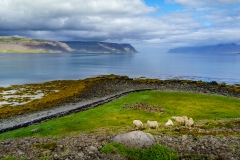 Fossfjoerdur Fjord