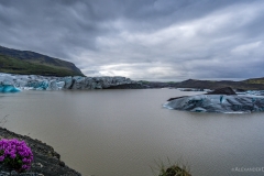 Svinafellsjökull