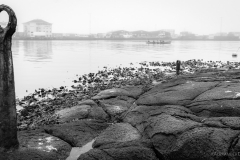Ruderboot Torshavn