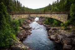 Vest-torpvegen