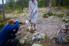 Femundsee Huskys