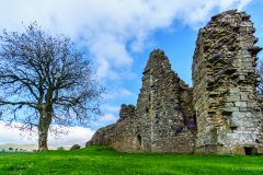Pendragon Castle Rückseite
