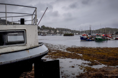 Tarbert Hafen