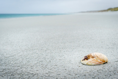 Muschel Traigh Iar Strand