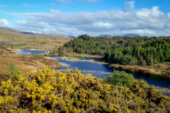 Schottland 2018 colors