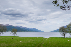 Loch Ness Panorama