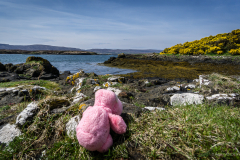 Pinki Isle of Skye