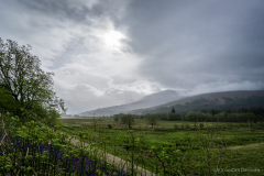 Schottland Nebel
