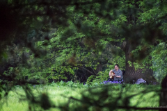 Musiker Airthrey Loch Park