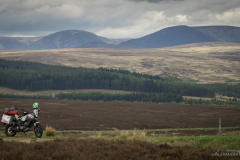 Schottland Heide