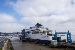 Pride of Rotterdam